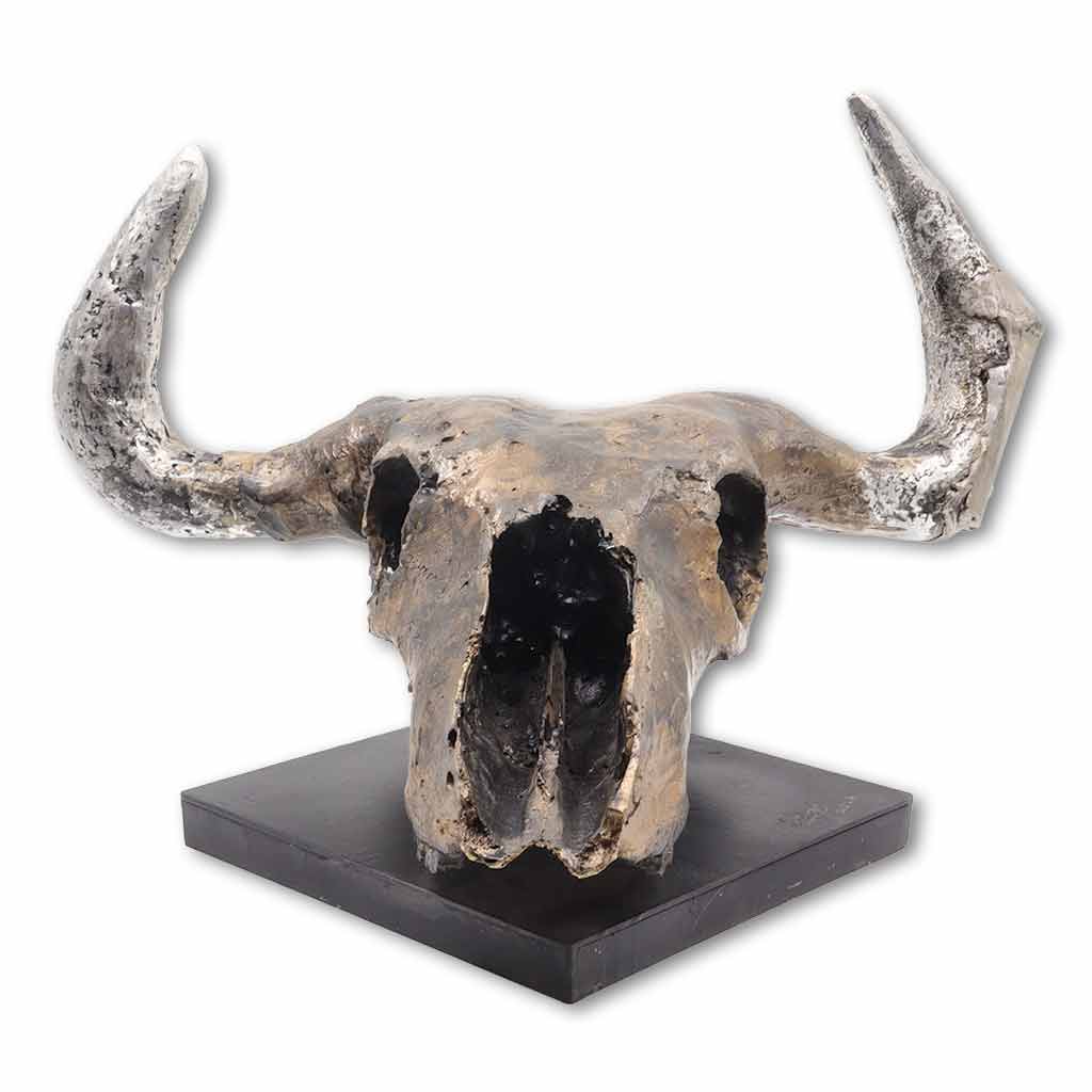 Animal Skull
