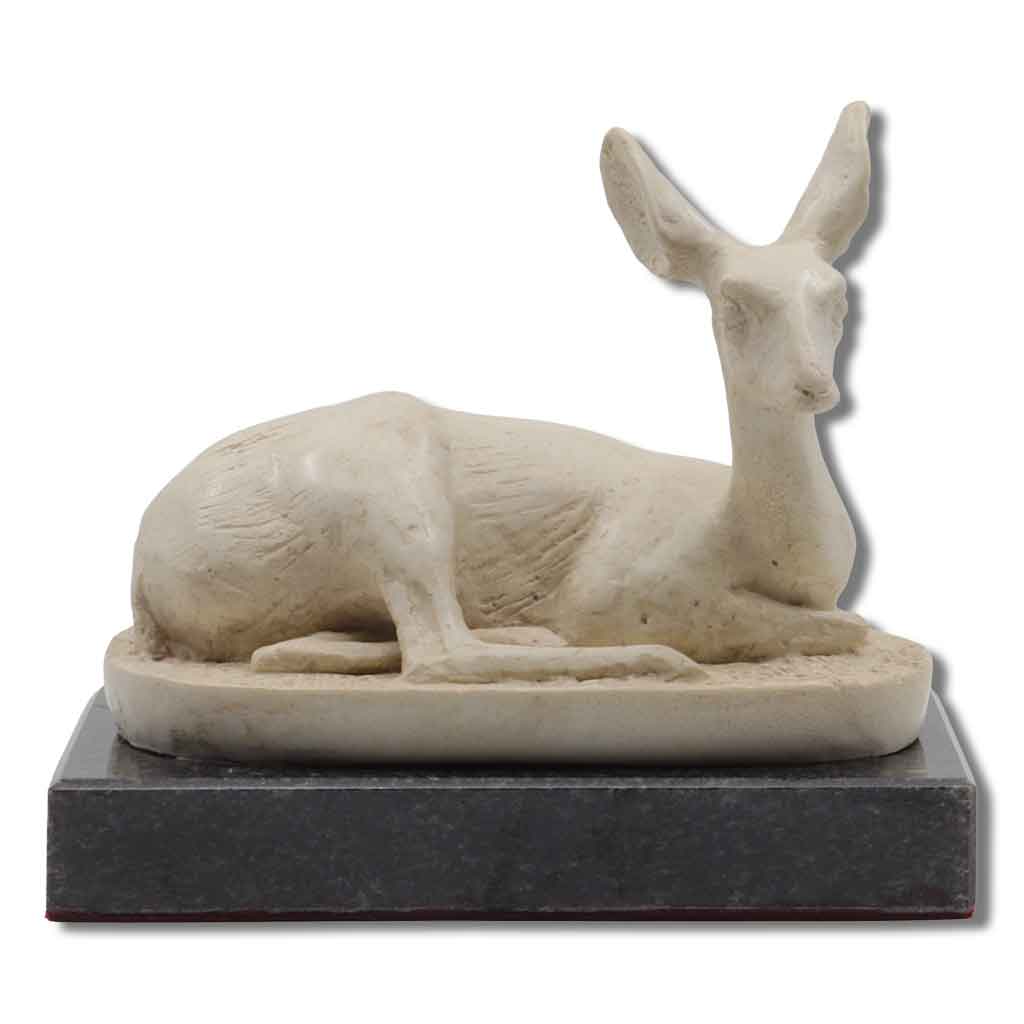 A Resting Steenbokkie